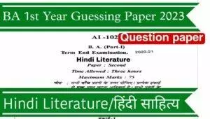 BA 1st Year Hindi Literature Guessing Paper Download PDF Link