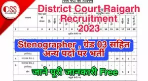 District Court Raigarh Recruitment 2023